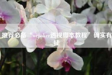 推荐必备“wepoker透视脚本教程”确实有挂