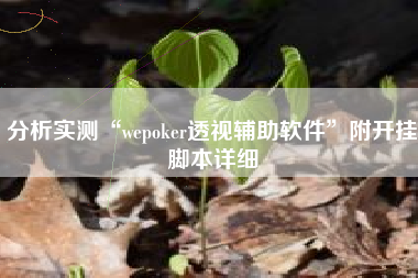 分析实测“wepoker透视辅助软件”附开挂脚本详细
