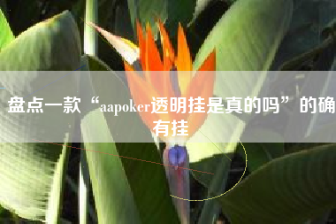 盘点一款“aapoker透明挂是真的吗”的确有挂