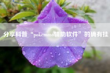 分享科普“pokemmo辅助软件”的确有挂