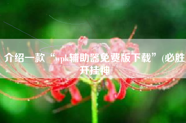 介绍一款“wpk辅助器免费版下载	”(必胜开挂神