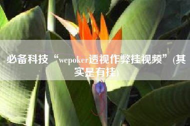必备科技“wepoker透视作弊挂视频	”(其实是有挂)
