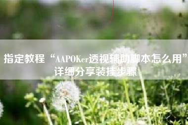 指定教程“AAPOKer透视辅助脚本怎么用	”详细分享装挂步骤