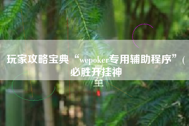 玩家攻略宝典“wepoker专用辅助程序	”(必胜开挂神