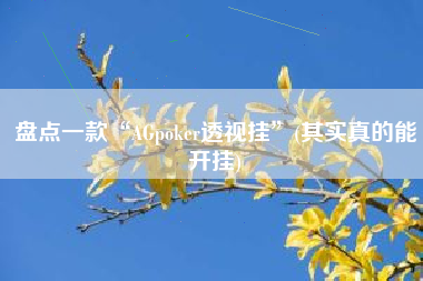 盘点一款“AGpoker透视挂”(其实真的能开挂)