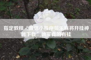 指定教程“微信小程序微乐麻将开挂神器下载”确实真的有挂