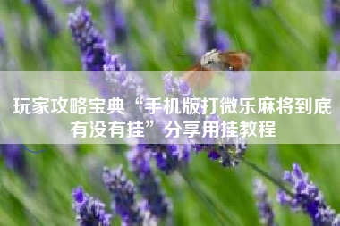 玩家攻略宝典“手机版打微乐麻将到底有没有挂	”分享用挂教程