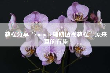 教程分享“waapoke辅助透视教程”原来真的有挂