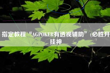 指定教程“AGPOKER有透视辅助”(必胜开挂神
