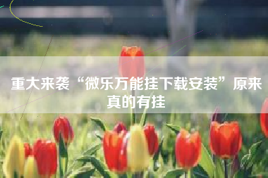 重大来袭“微乐万能挂下载安装	”原来真的有挂