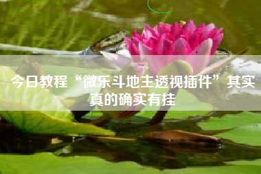 今日教程“微乐斗地主透视插件	”其实真的确实有挂