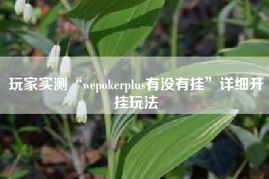 玩家实测“wepokerplus有没有挂”详细开挂玩法