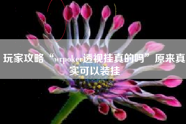 玩家攻略“wrpoker透视挂真的吗	”原来真实可以装挂