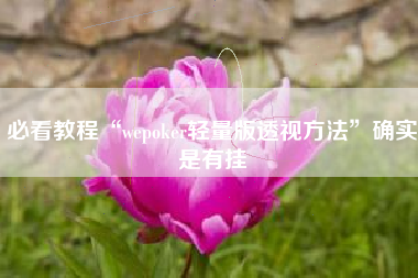 必看教程“wepoker轻量版透视方法	”确实是有挂