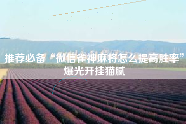 推荐必备“微信雀神麻将怎么提高胜率	”爆光开挂猫腻