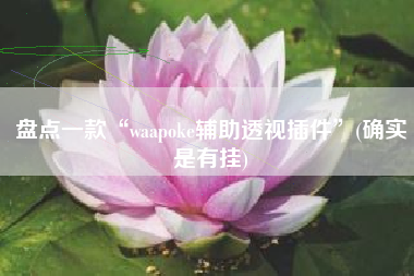 盘点一款“waapoke辅助透视插件	”(确实是有挂)