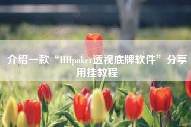 介绍一款“HHpoker透视底牌软件”分享用挂教程