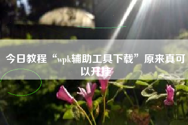 今日教程“wpk辅助工具下载”原来真可以开挂