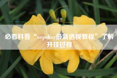 必看科普“wepoKer最新透视教程”了解开挂过程