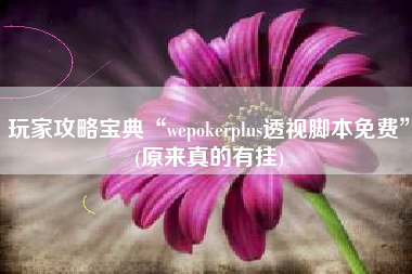 玩家攻略宝典“wepokerplus透视脚本免费”(原来真的有挂)