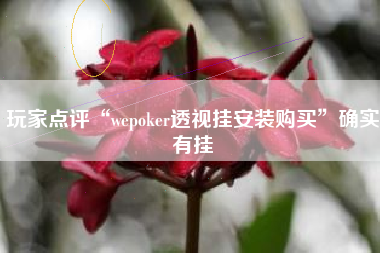 玩家点评“wepoker透视挂安装购买	”确实有挂