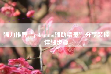 强力推荐“pokemmo辅助精灵	”分享装挂详细步骤