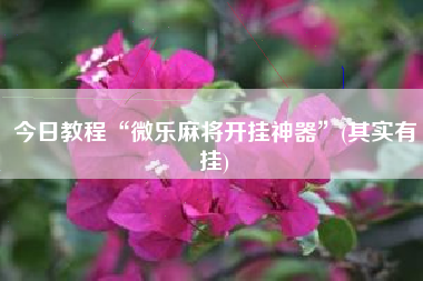 今日教程“微乐麻将开挂神器”(其实有挂)