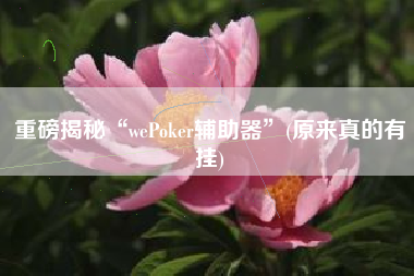 重磅揭秘“wePoker辅助器	”(原来真的有挂)