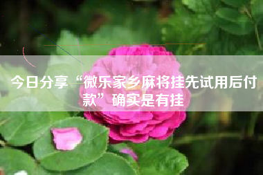 今日分享“微乐家乡麻将挂先试用后付款	”确实是有挂