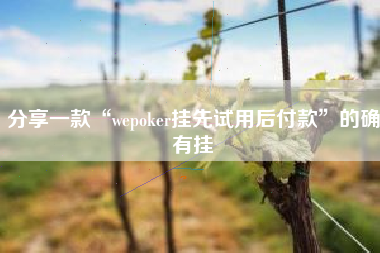 分享一款“wepoker挂先试用后付款”的确有挂
