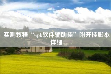 实测教程“wpk软件辅助挂	”附开挂脚本详细