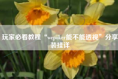 玩家必看教程“wepoker能不能透视”分享装挂详