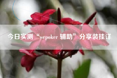 今日实测“wepoker 辅助”分享装挂详