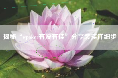 揭秘“wpoker有没有挂”分享装挂详细步