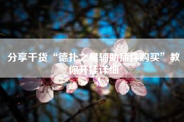 分享干货“德扑之星辅助插件购买”教你开挂详细