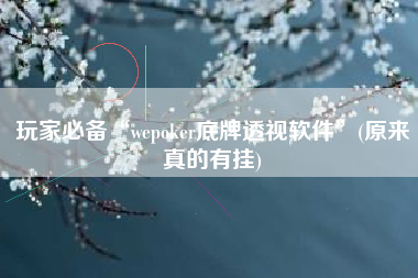 玩家必备“wepoker底牌透视软件”(原来真的有挂)