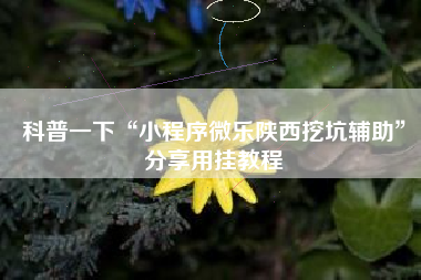 科普一下“小程序微乐陕西挖坑辅助	”分享用挂教程