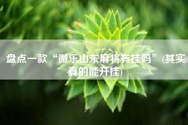 盘点一款“微乐山东麻将有挂吗	”(其实真的能开挂)