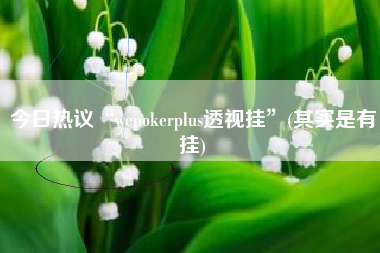 今日热议“wepokerplus透视挂”(其实是有挂)
