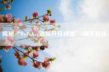 揭秘“WePoKer透视开挂神器”(确实有挂)