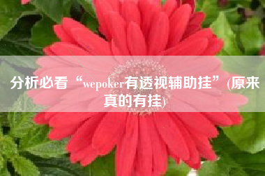 分析必看“wepoker有透视辅助挂	”(原来真的有挂)