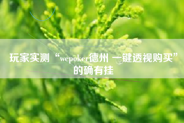 玩家实测“wepoker德州 一键透视购买	”的确有挂