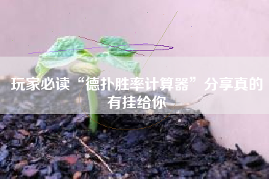 玩家必读“德扑胜率计算器”分享真的有挂给你
