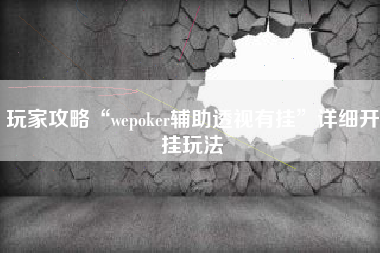 玩家攻略“wepoker辅助透视有挂	”详细开挂玩法