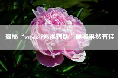 揭秘“wepoker透视辅助”确实果然有挂