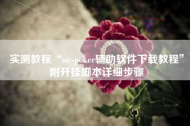 实测教程“we-poker辅助软件下载教程	”附开挂脚本详细步骤