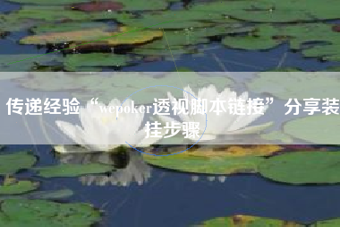 传递经验“wepoker透视脚本链接”分享装挂步骤