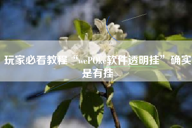 玩家必看教程“wePOke软件透明挂”确实是有挂
