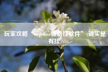 玩家攻略“wepoker辅助挂软件”(确实是有挂)