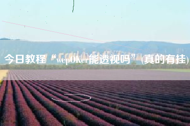 今日教程“wepOKer能透视吗	”(真的有挂)